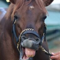 SmartyJones