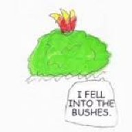 Flame the Sunbird