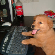 Administrator