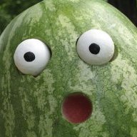 The Big Green Fruit