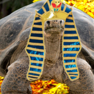 Milktheturtle