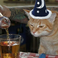 Thirsty Kitty