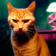 Alex Jones' Fancy Cat