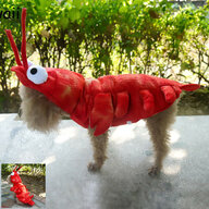 JOHN SHRIMP DOE