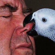 Nose Pincher