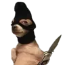 skunt