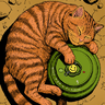 A Cat in a Minefield
