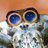 Toothsome Spider *