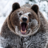 Meth_Bear