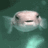 Jiff the Pufferfish