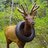 Elk Sausage