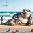 Finnegan the Supershark