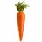 carrotferret