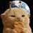 Butterflycat