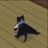 Boots N' Cats