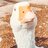 TanglingGoose
