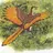 Archaeopteryx
