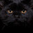 HP Lovecraft's Cat's Name