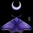 Lavender Moth