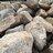 Throwing Rocks at People