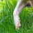 I touch Grass