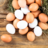 eggspectacular