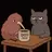Memes Cat