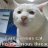 nekotlc