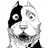 Graphite Dog