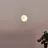 look at the moon