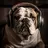 Canine Stereo