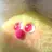 Firby Nurbs