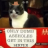 sad cowboy cat