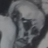 H. Legomenon