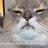 MeowZedong