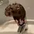 ScurvyRat