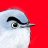 gnatcatcher