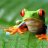 myfinalmessage420