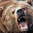 FatAngryBear