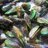 Pure Mussel