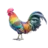 Gay Penis