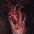 artery