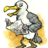 seagull
