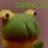 Dumb Frogposter