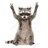 Drunk Raccoon