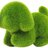 mossdog