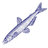 candlefish