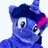 Peetz’s pony