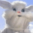 Bunny B