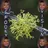 Lichen Bark